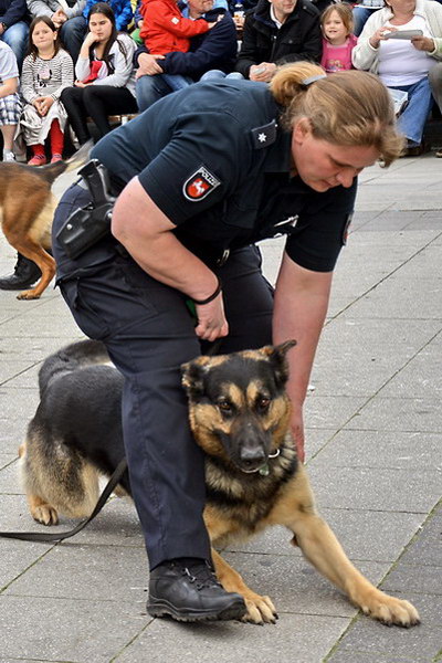 Polizeishow   023.jpg